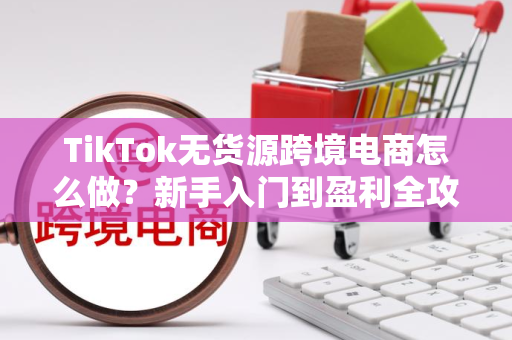 TikTok无货源跨境电商怎么做？新手入门到盈利全攻略，轻松实现轻资产变现