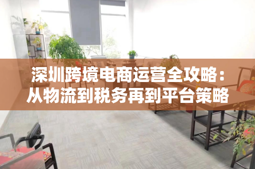 深圳跨境电商运营全攻略：从物流到税务再到平台策略，轻松出海赚美元