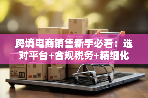 跨境电商销售新手必看：选对平台+合规税务+精细化运营才能赚钱