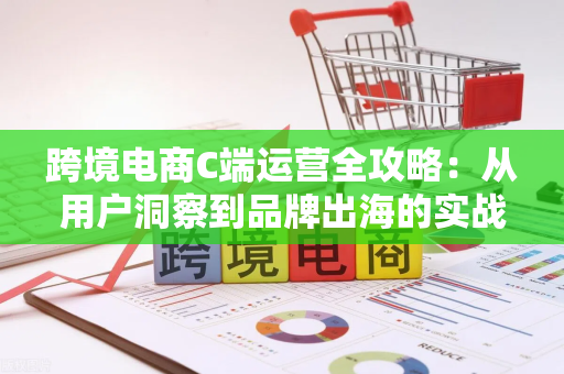 跨境电商C端运营全攻略：从用户洞察到品牌出海的实战指南
