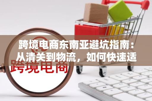 跨境电商东南亚避坑指南：从清关到物流，如何快速适应本地市场并提升利润？