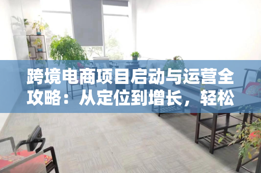 跨境电商项目启动与运营全攻略：从定位到增长，轻松避开90%新手坑