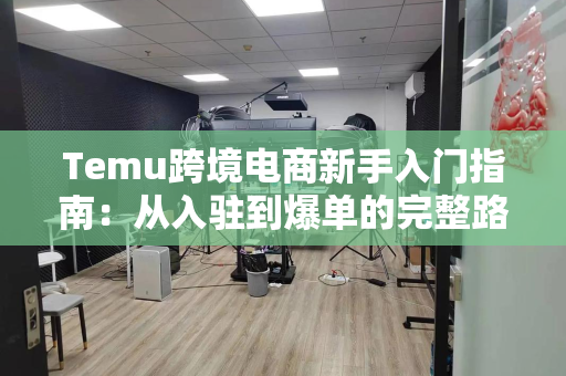 Temu跨境电商新手入门指南：从入驻到爆单的完整路径，轻松开启海外赚钱新模式
