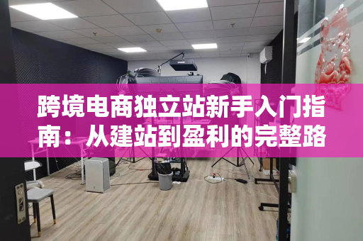 跨境电商独立站新手入门指南：从建站到盈利的完整路径