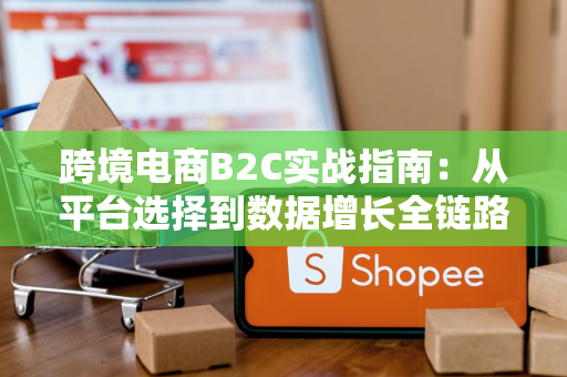 跨境电商B2C实战指南：从平台选择到数据增长全链路优化