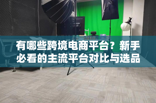 有哪些跨境电商平台？新手必看的主流平台对比与选品策略