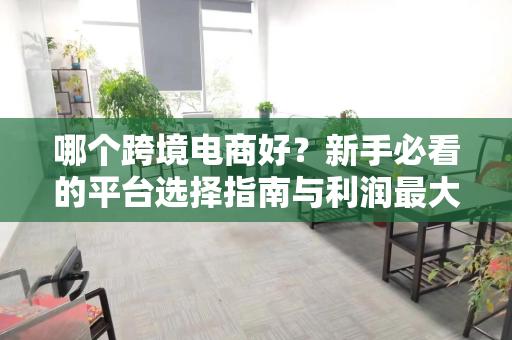 哪个跨境电商好？新手必看的平台选择指南与利润最大化策略