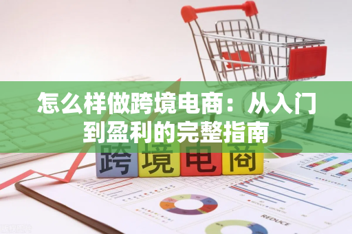 怎么样做跨境电商：从入门到盈利的完整指南