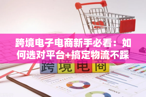 跨境电子电商新手必看：如何选对平台+搞定物流不踩坑？