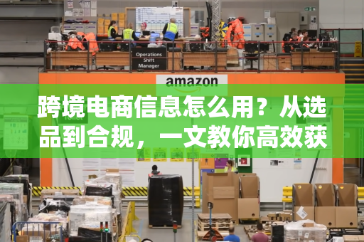 跨境电商信息怎么用？从选品到合规，一文教你高效获取与应用关键情报