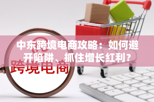 中东跨境电商攻略:如何避开陷阱、抓住增长红利?