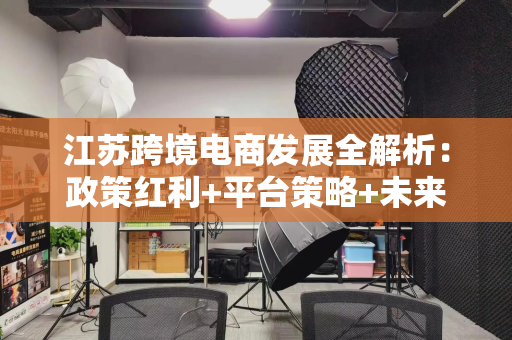 江苏跨境电商发展全解析：政策红利+平台策略+未来趋势，轻松出海赚钱
