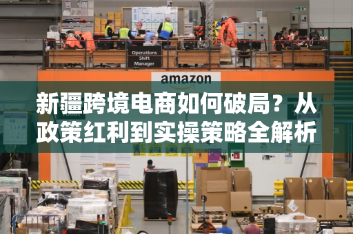 新疆跨境电商如何破局?从政策红利到实操策略全解析
