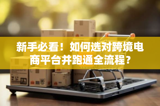 新手必看！如何选对跨境电商平台并跑通全流程？