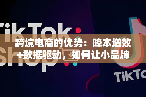 跨境电商的优势：降本增效+数据驱动，如何让小品牌全球爆单？