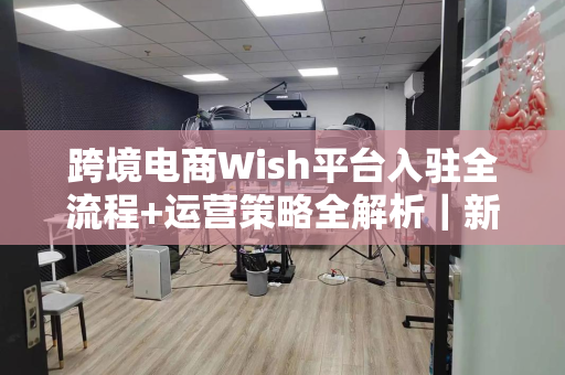 跨境电商Wish平台入驻全流程+运营策略全解析|新手也能快速上手