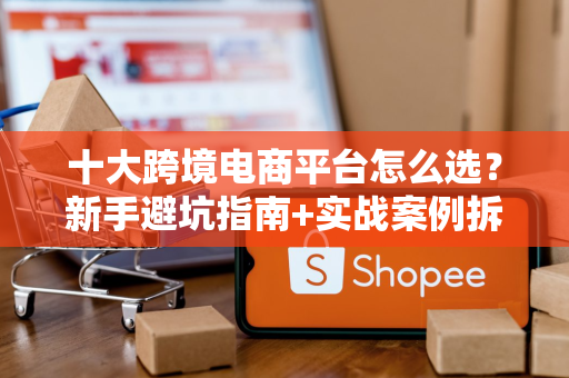 十大跨境电商平台怎么选？新手避坑指南+实战案例拆解