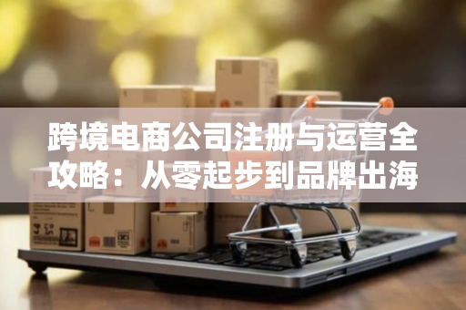 跨境电商公司注册与运营全攻略：从零起步到品牌出海的正确路径