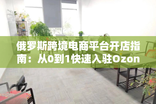 俄罗斯跨境电商平台开店指南：从0到1快速入驻Ozon，抓住2024年爆发红利