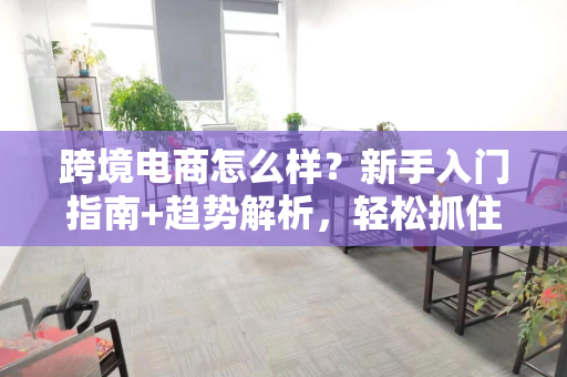 跨境电商怎么样？新手入门指南+趋势解析，轻松抓住全球商机