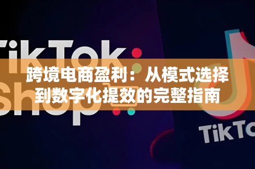 跨境电商盈利：从模式选择到数字化提效的完整指南
