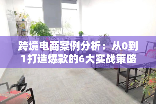 跨境电商案例分析:从0到1打造爆款的6大实战策略