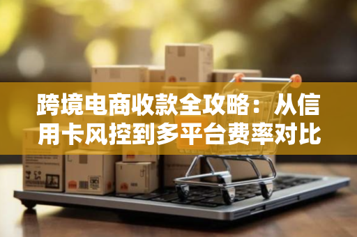 跨境电商收款全攻略：从信用卡风控到多平台费率对比，轻松打通全球支付通道